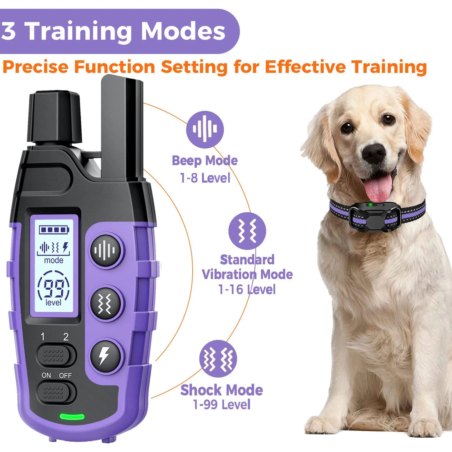 Dog-Friendly Electronic Training Collar