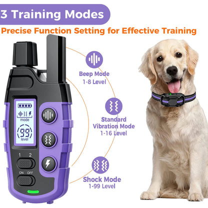 Dog-Friendly Electronic Training Collar