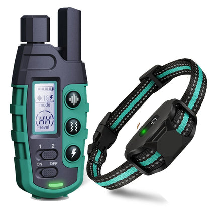 Dog-Friendly Electronic Training Collar
