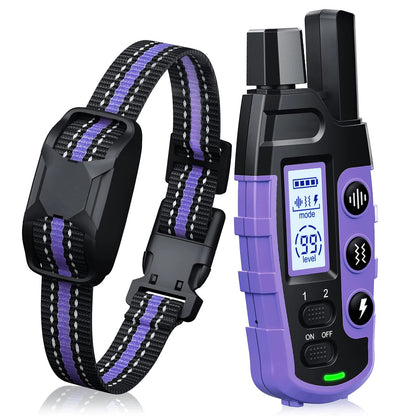 Dog-Friendly Electronic Training Collar