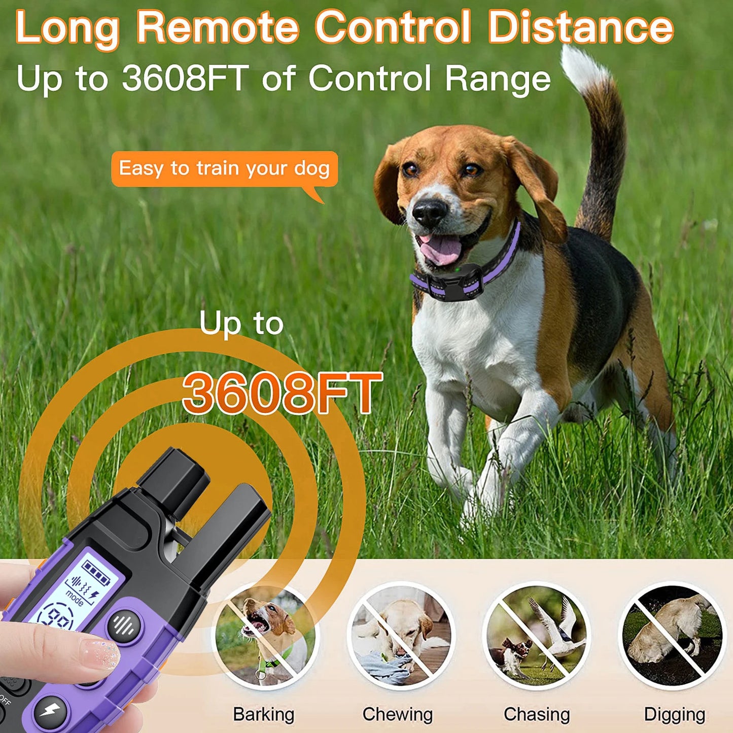 Dog-Friendly Electronic Training Collar