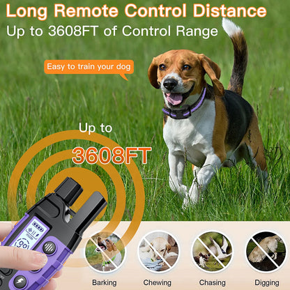 Dog-Friendly Electronic Training Collar